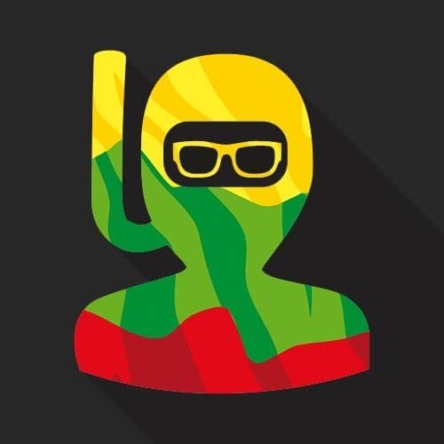 Vilnius Coding School Logo