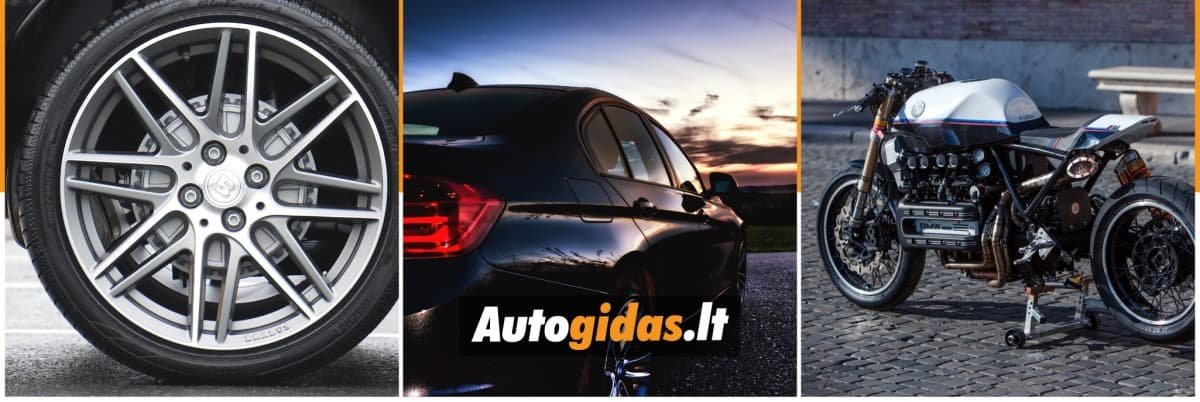 Autogidas logo