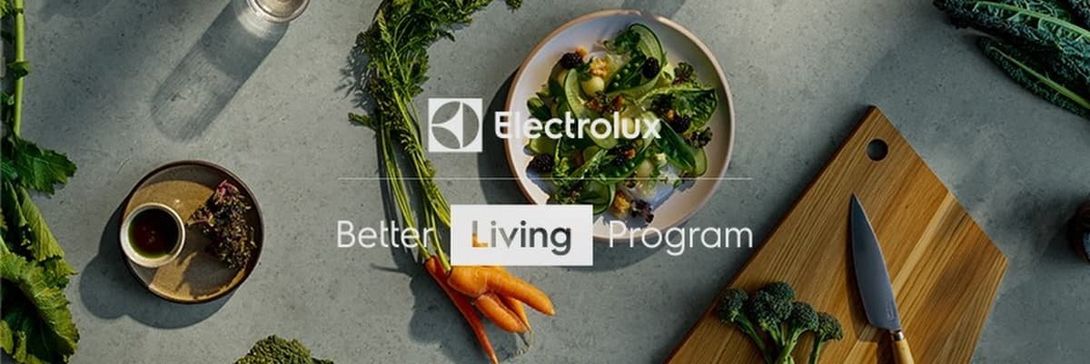 Electrolux logo