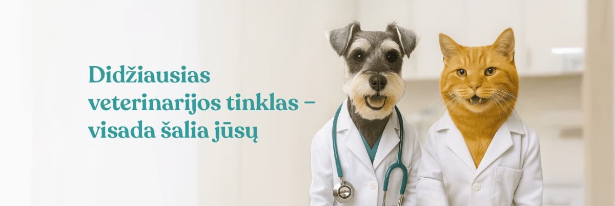 DR.VET Banner